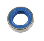 Transmission, Nose Cone Shift Lever Seal, 68-79